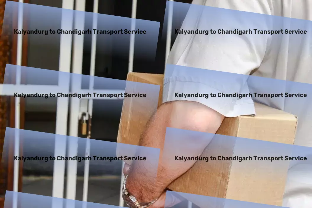 Kalyandurg to Chandigarh Transport Advanced parcel delivery