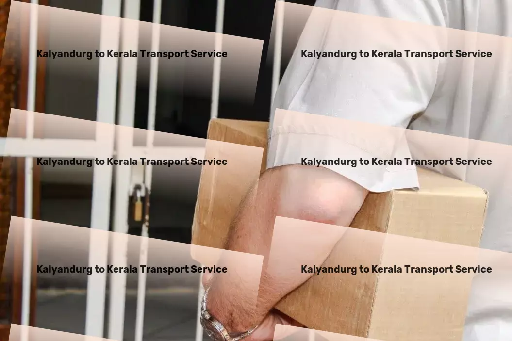 Kalyandurg to Kerala Transport Domestic freight forwarding