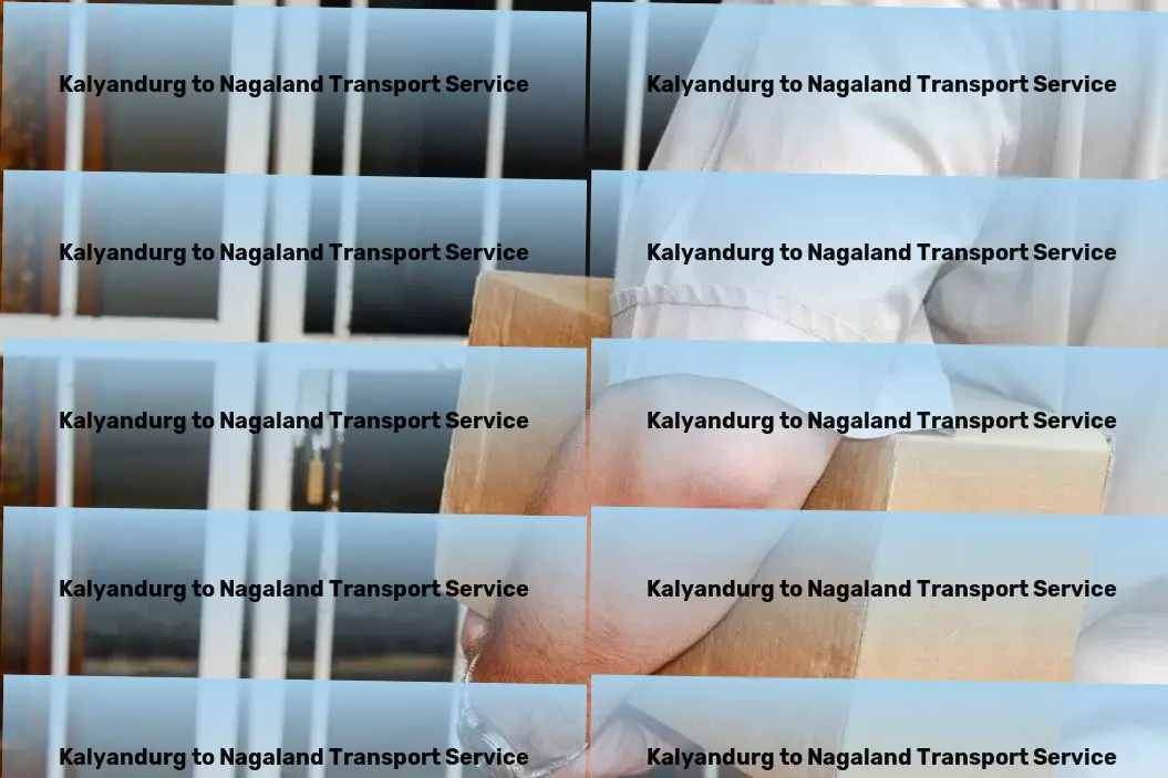 Kalyandurg to Nagaland Transport Redefine your travel experiences with our bespoke services! - Nationwide cargo shipment