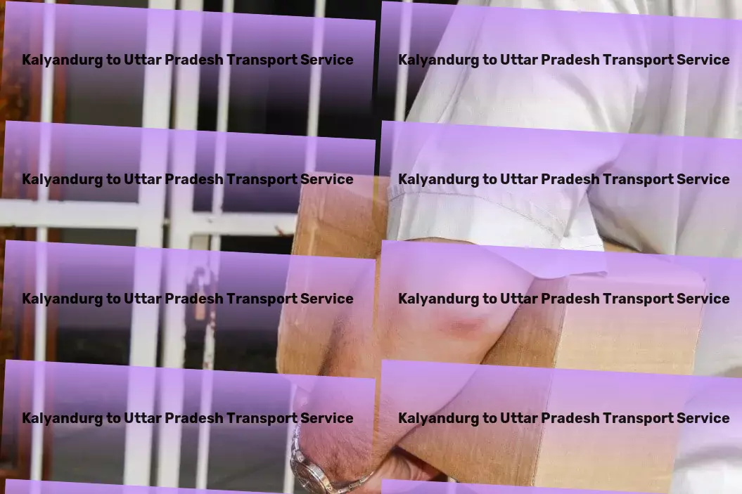 Kalyandurg to Uttar Pradesh Transport Furniture transport solutions