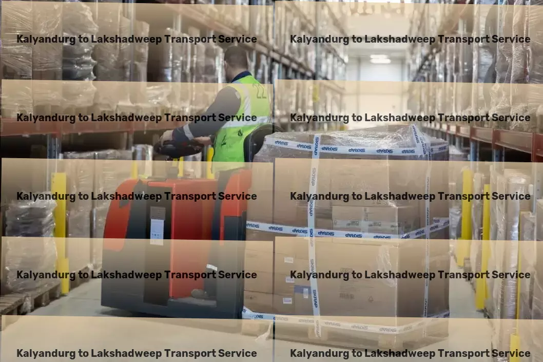 Kalyandurg to Lakshadweep Transport Countrywide logistics services