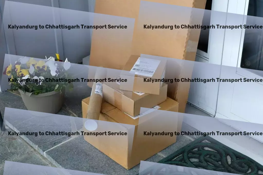 Kalyandurg to Chhattisgarh Transport Express household shipment