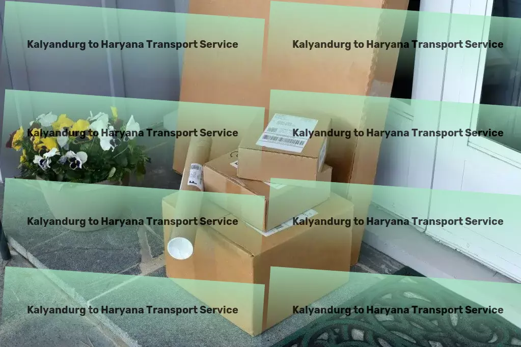 Kalyandurg to Haryana Transport Nationwide parcel logistics