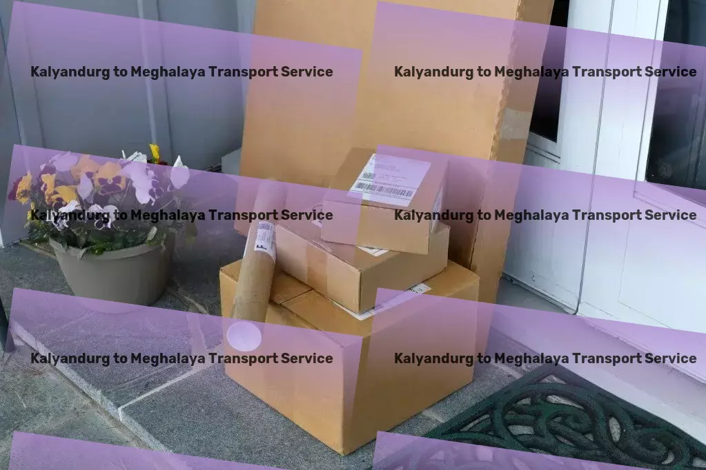 Kalyandurg to Meghalaya Transport Seamless, efficient transportation for all your needs in India! - Household goods shipping