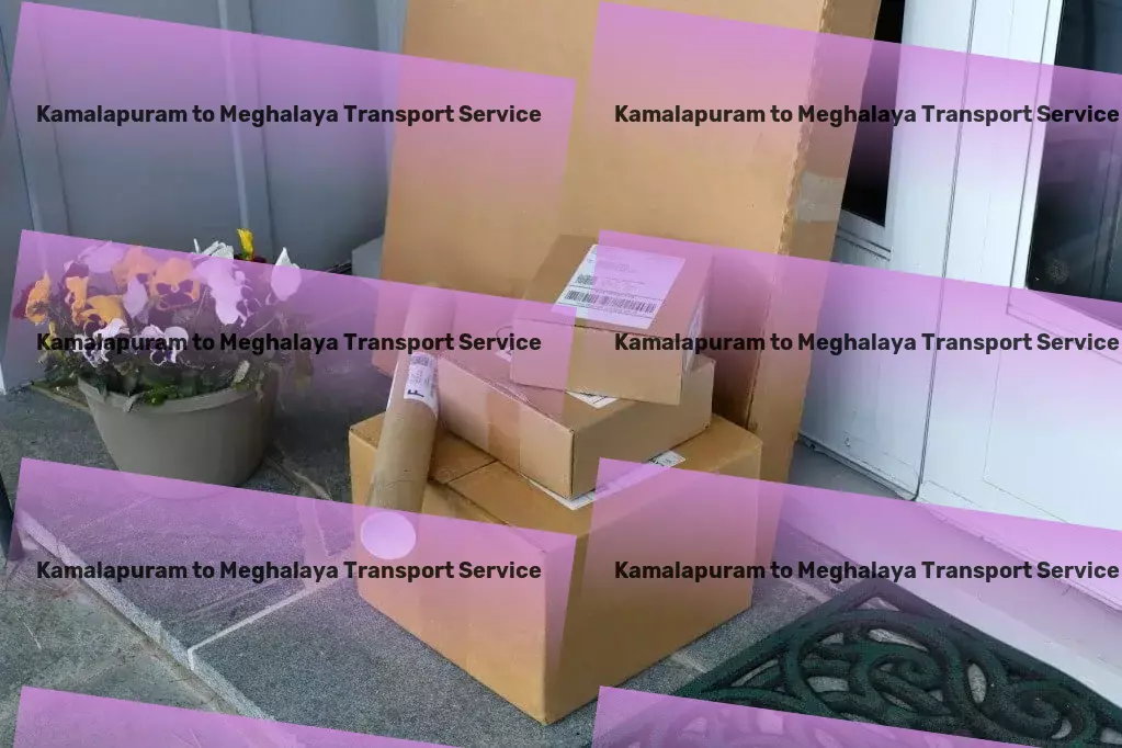 Kamalapuram to Meghalaya Transport Professional package delivery