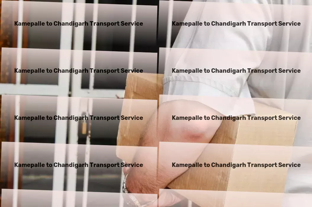 Kamepalle to Chandigarh Transport Professional cargo forwarding