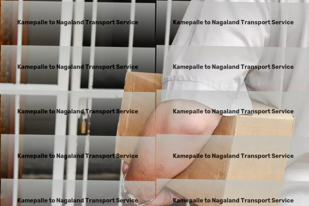 Kamepalle to Nagaland Transport Heavy-duty transport solutions