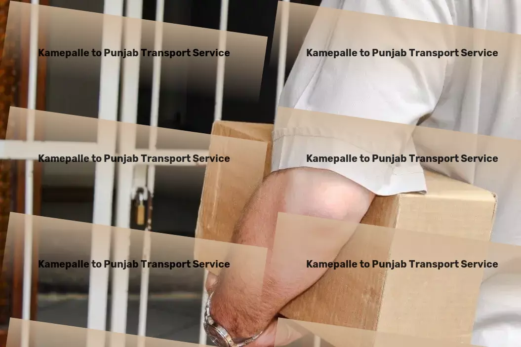 Kamepalle to Punjab Transport Custom logistics solutions