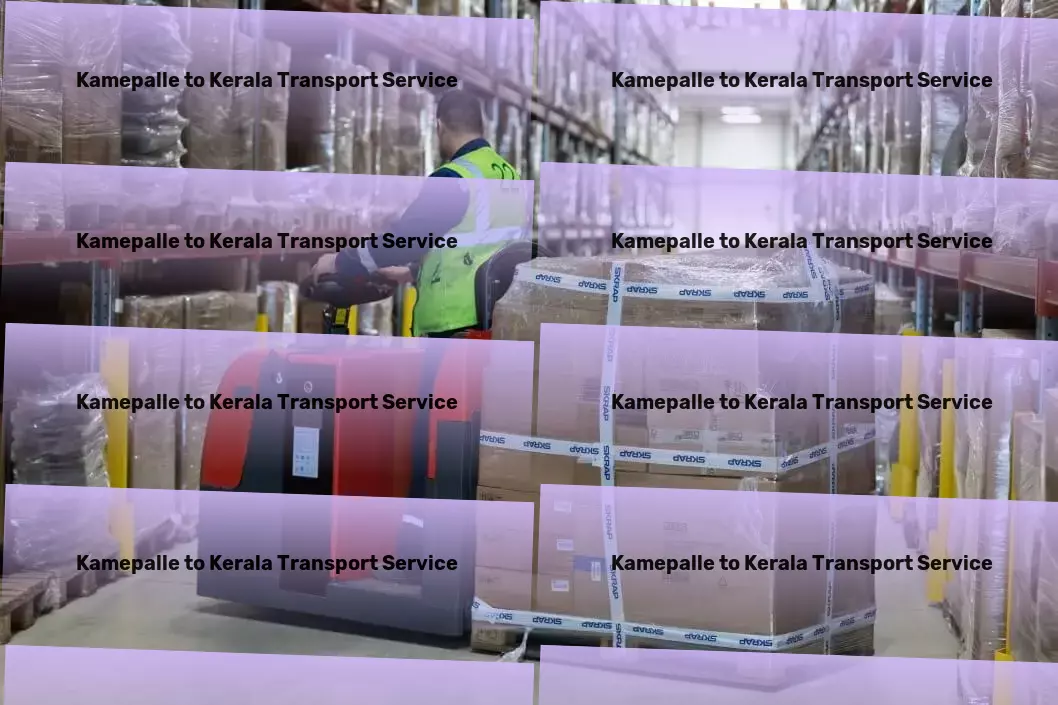 Kamepalle to Kerala Transport Furniture moving services