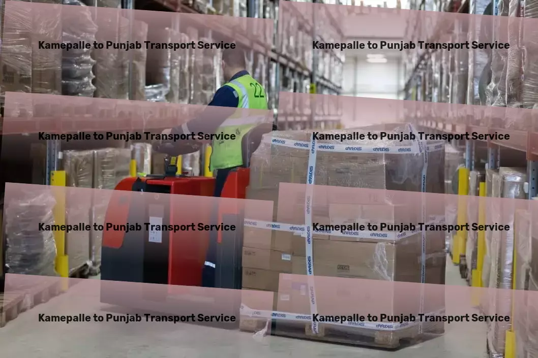 Kamepalle to Punjab Transport Sustainable transport solutions