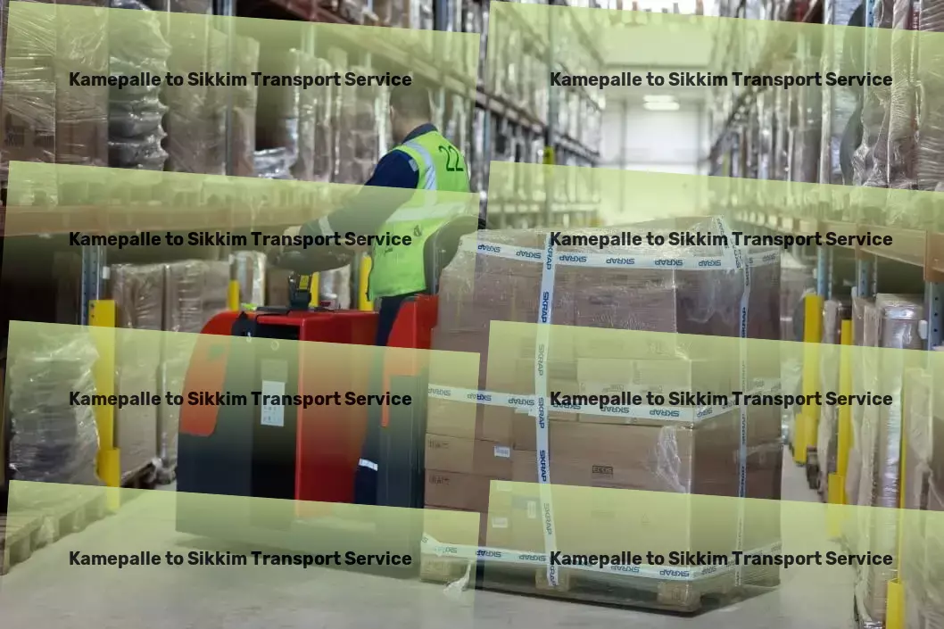 Kamepalle to Sikkim Transport Advanced logistics networks