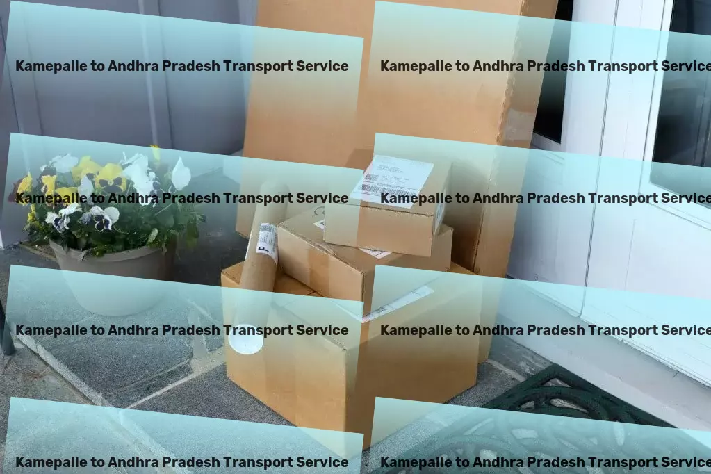 Kamepalle to Andhra Pradesh Transport Customized parcel services