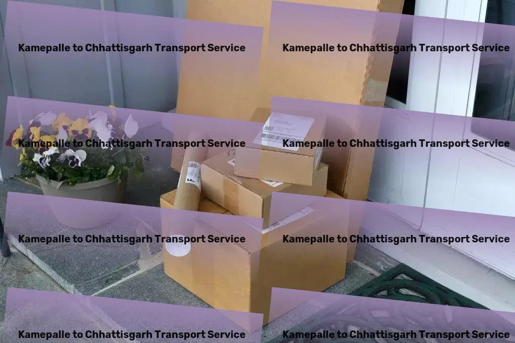 Kamepalle to Chhattisgarh Transport Cargo handling