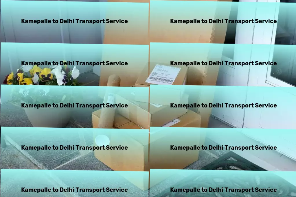 Kamepalle to Delhi Transport Distribution services