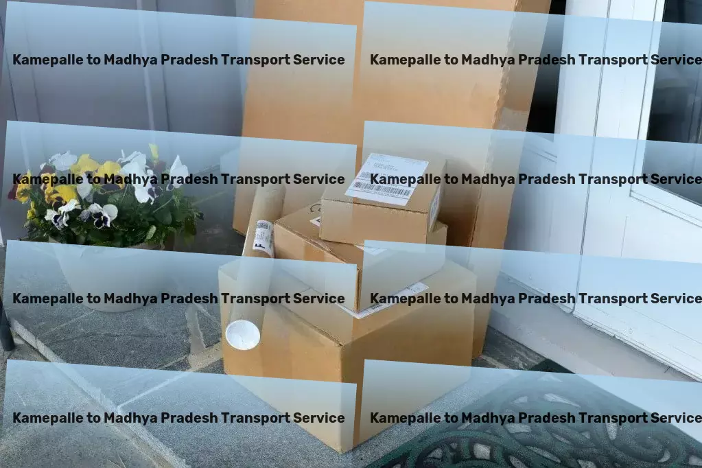 Kamepalle to Madhya Pradesh Transport Container transport services