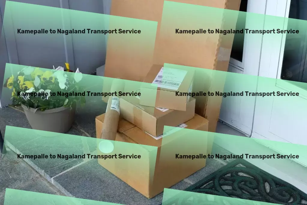 Kamepalle to Nagaland Transport High-speed goods delivery