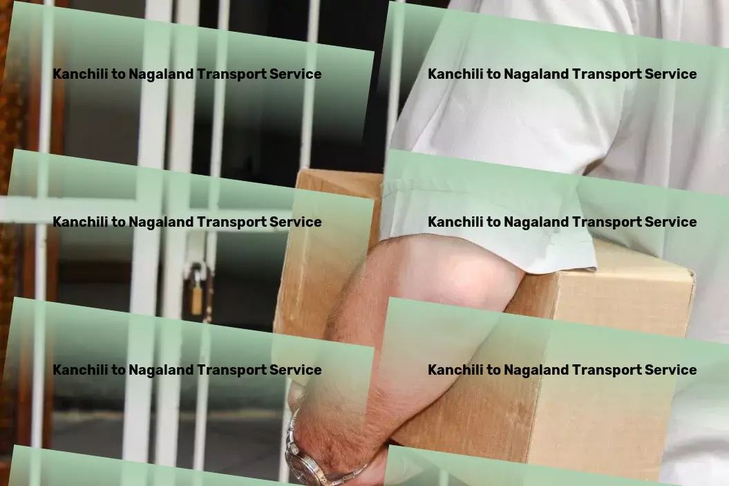 Kanchili to Nagaland Transport Rapid cargo transport