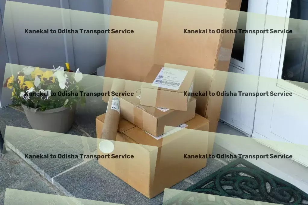 Kanekal to Odisha Transport Express household shipment