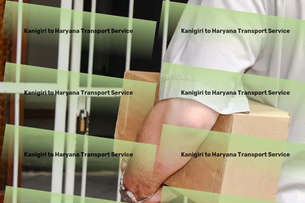 Kanigiri to Haryana Transport Retail distribution logistics