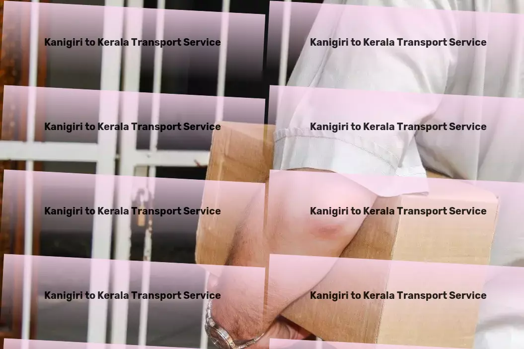 Kanigiri to Kerala Transport Supply chain logistics