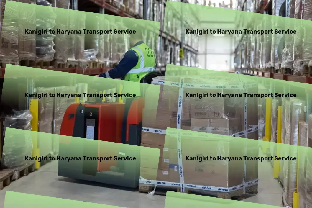 Kanigiri to Haryana Transport Express transport solutions