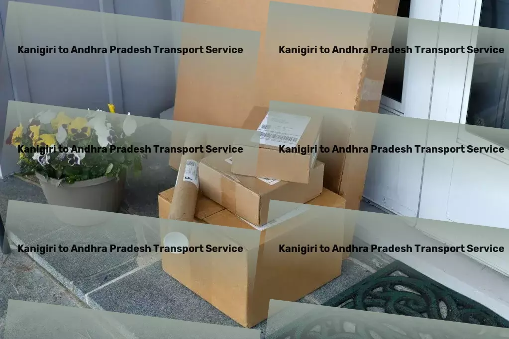 Kanigiri to Andhra Pradesh Transport Package delivery