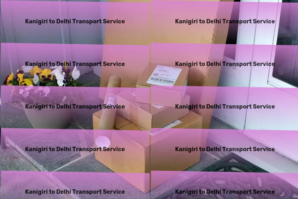 Kanigiri to Delhi Transport Full-scale moving services