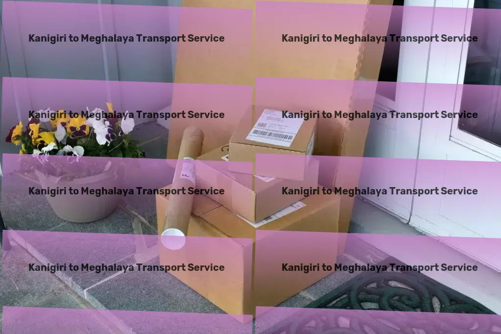 Kanigiri to Meghalaya Transport Direct door delivery