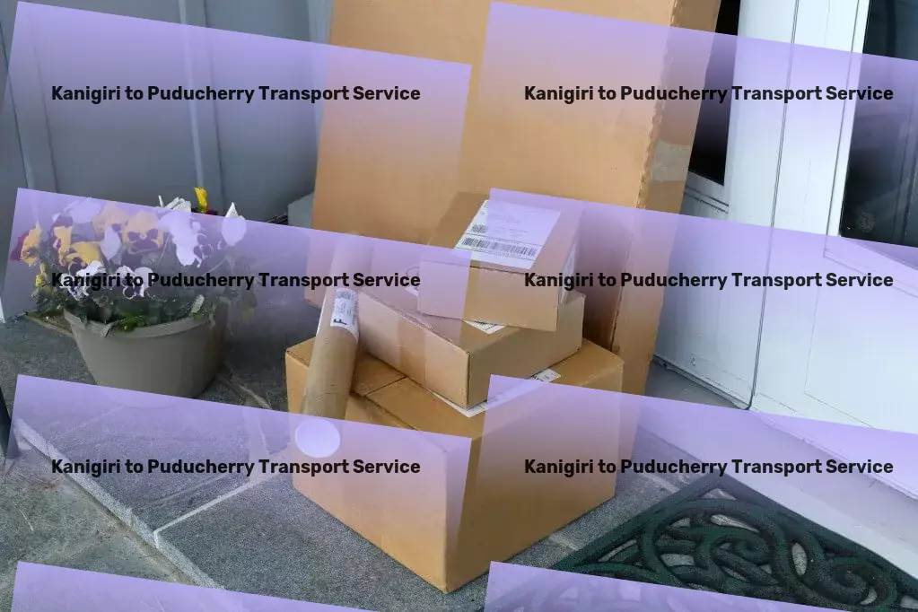 Kanigiri to Puducherry Transport Specialized parcel delivery