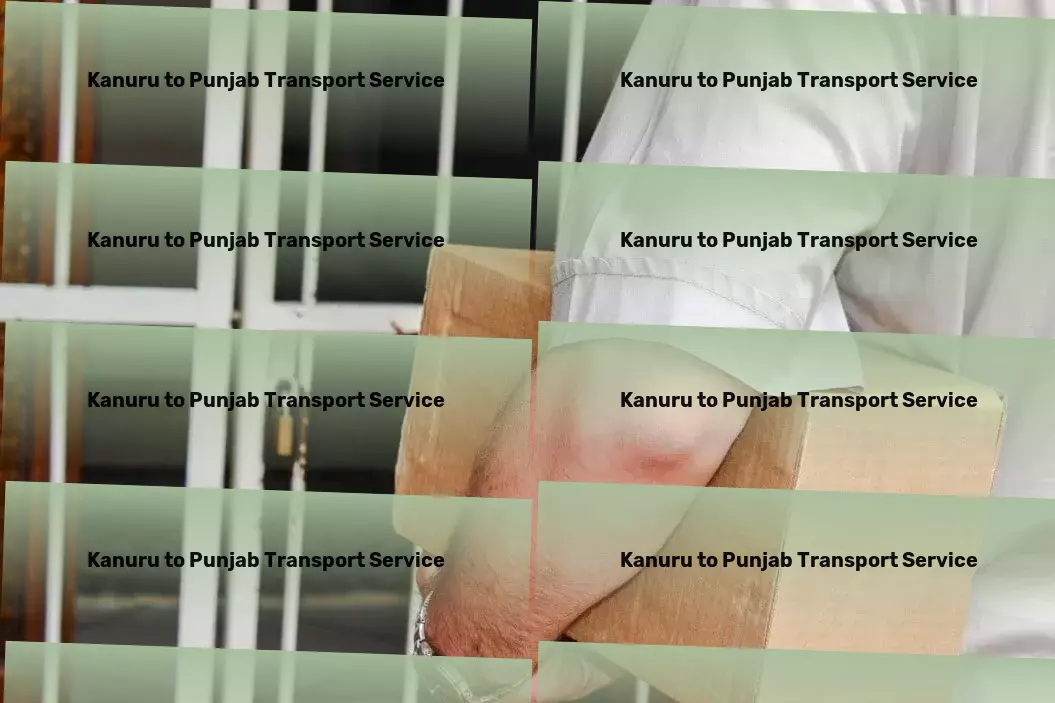 Kanuru to Punjab Transport Local delivery services